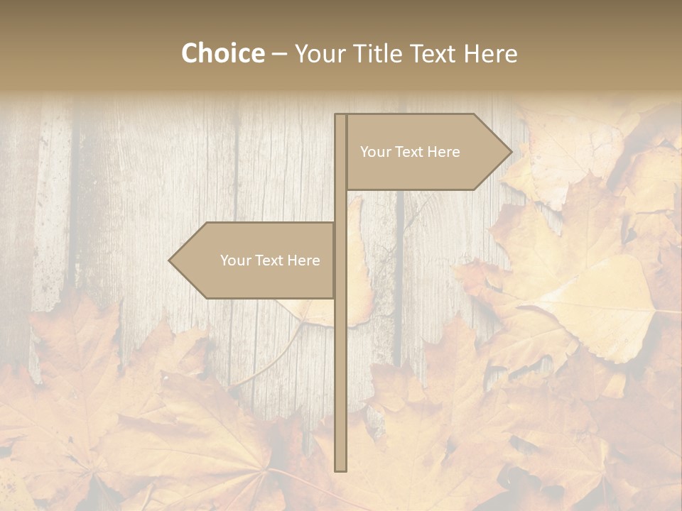 Detail Border Title PowerPoint Template