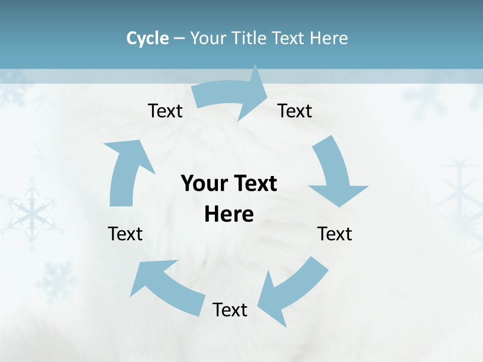 Kitten Pampered Snowflakes PowerPoint Template