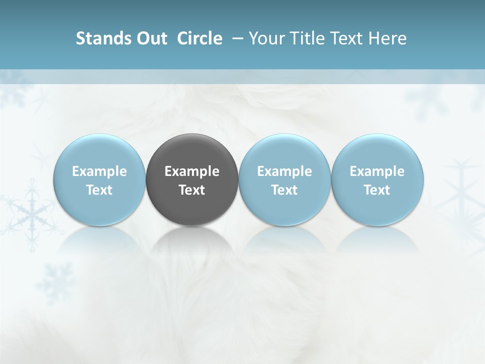 Kitten Pampered Snowflakes PowerPoint Template