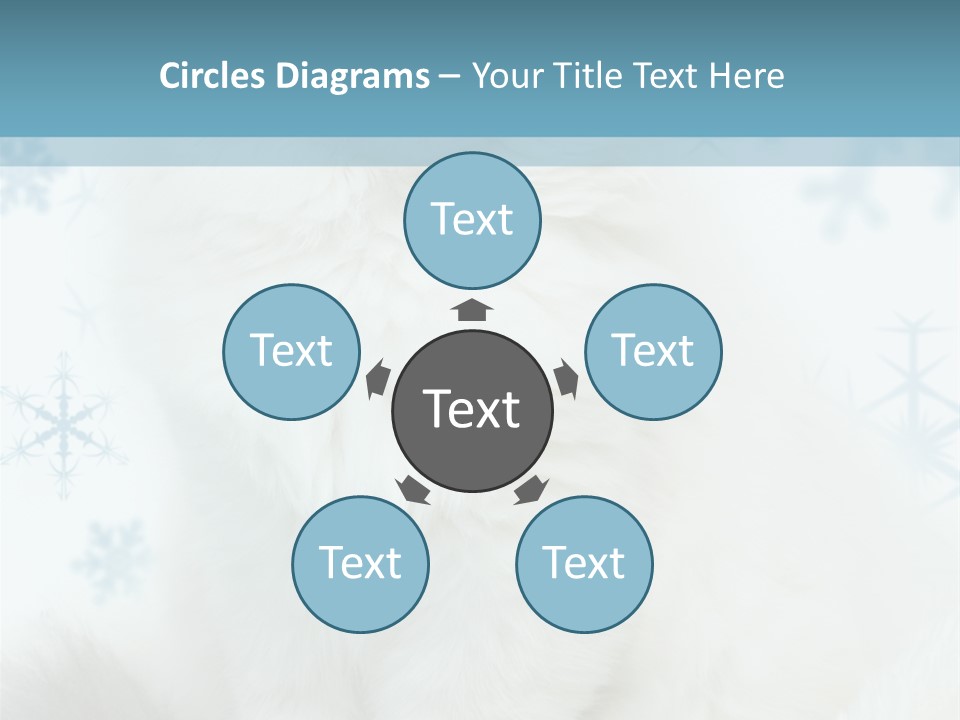 Kitten Pampered Snowflakes PowerPoint Template