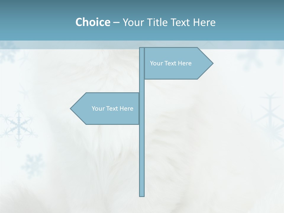 Kitten Pampered Snowflakes PowerPoint Template