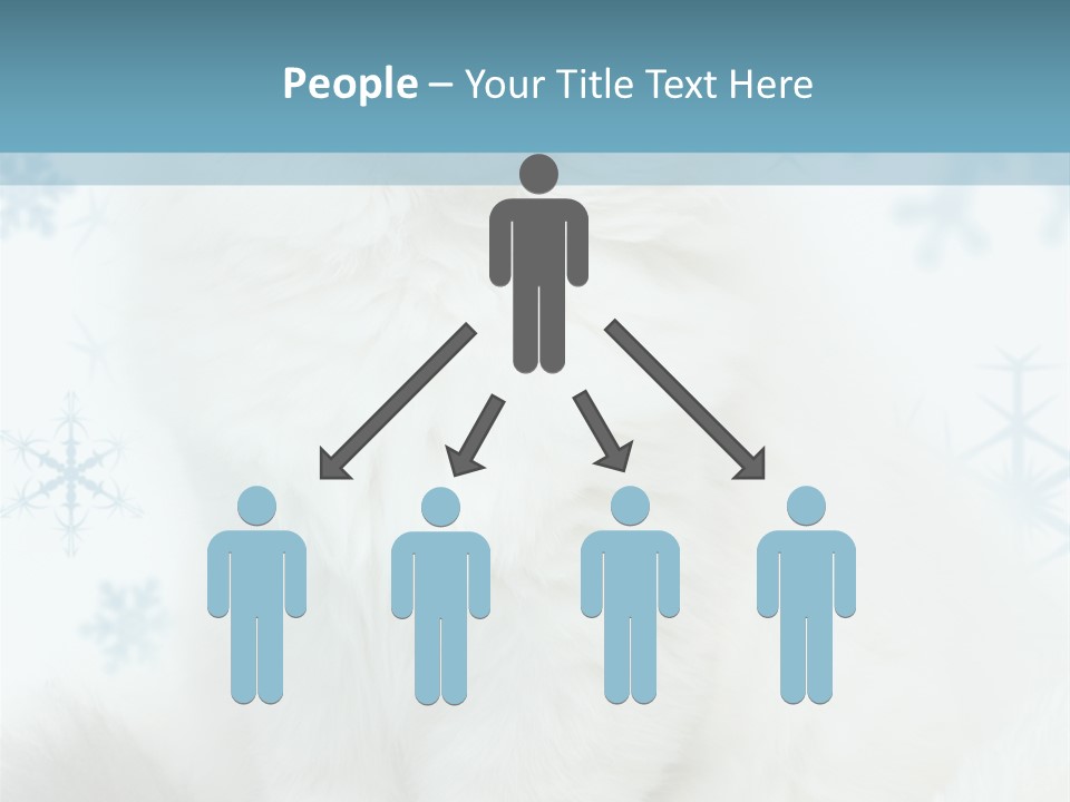 Kitten Pampered Snowflakes PowerPoint Template