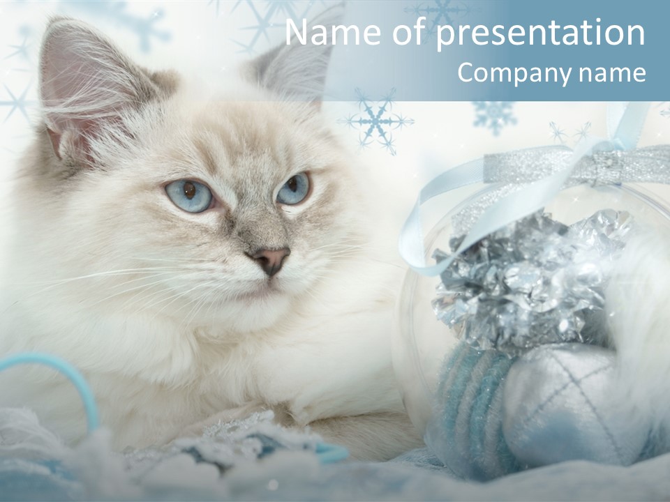 Winter Colour Presents PowerPoint Template