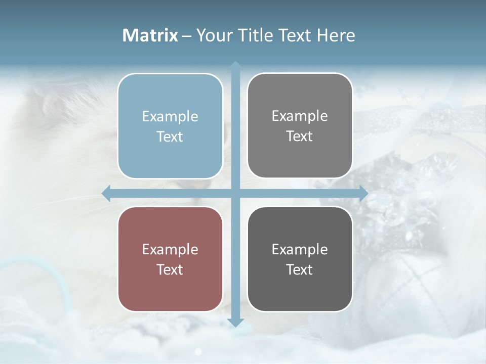 Winter Colour Presents PowerPoint Template