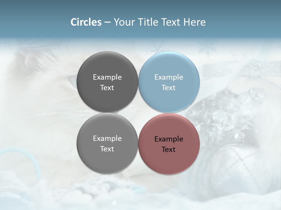 Winter Colour Presents PowerPoint Template