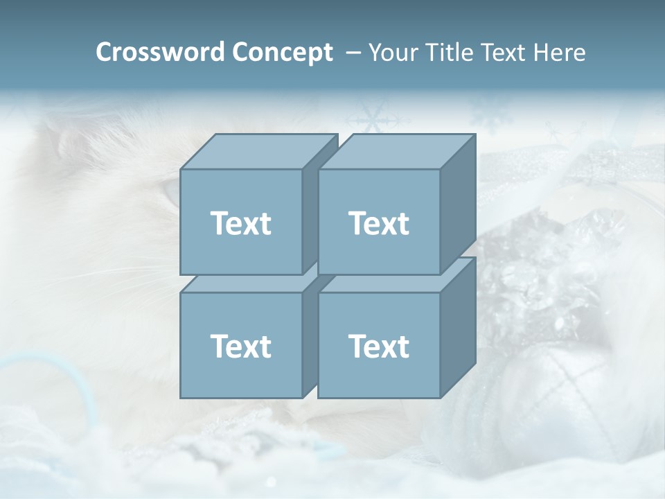 Winter Colour Presents PowerPoint Template
