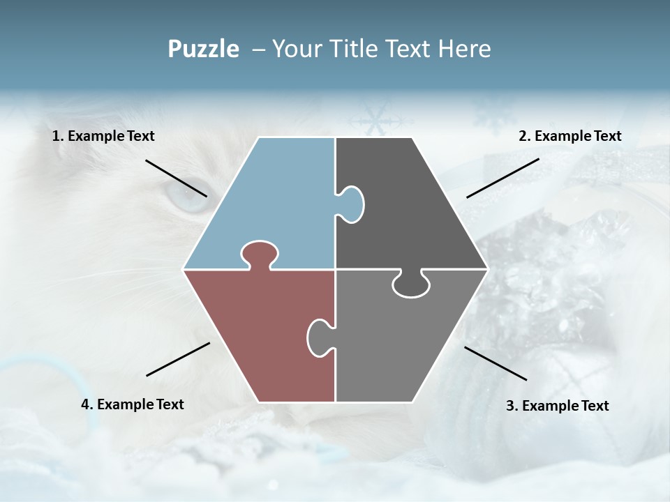Winter Colour Presents PowerPoint Template