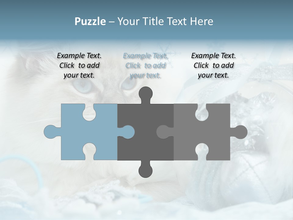 Winter Colour Presents PowerPoint Template