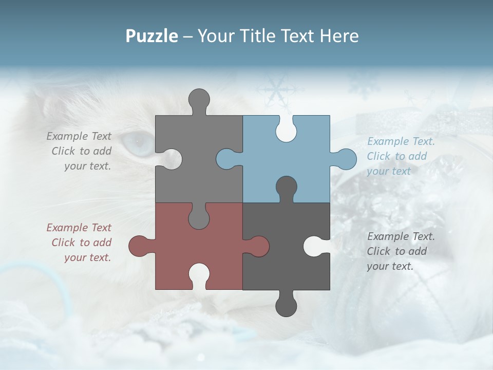 Winter Colour Presents PowerPoint Template