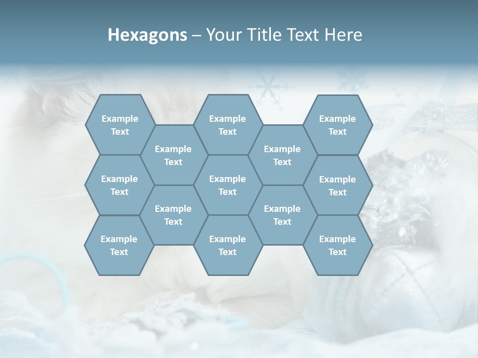 Winter Colour Presents PowerPoint Template