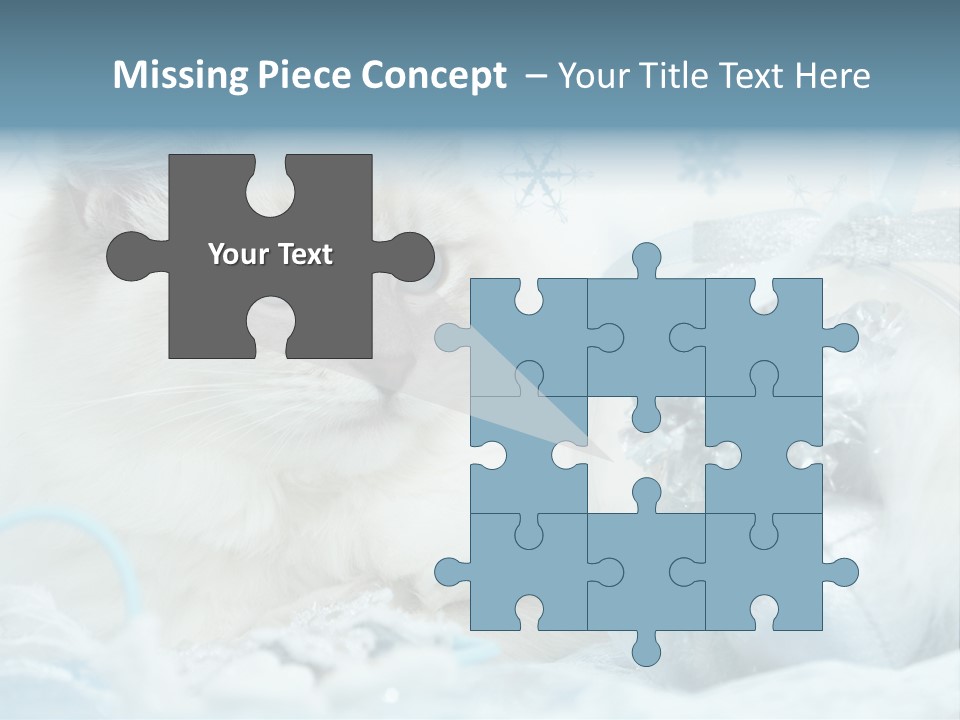Winter Colour Presents PowerPoint Template