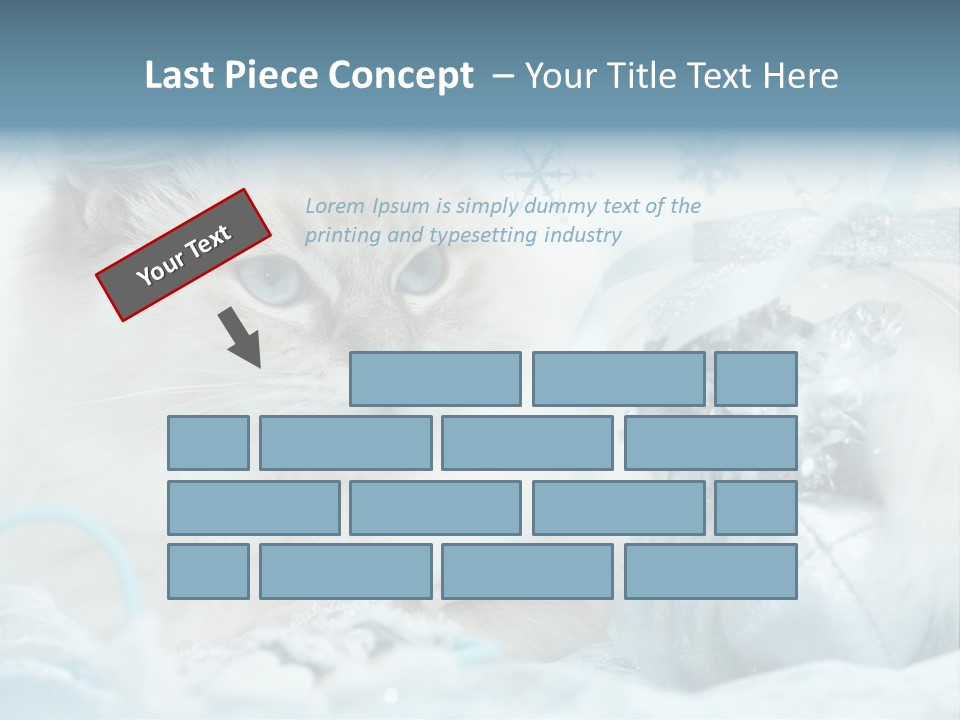 Winter Colour Presents PowerPoint Template
