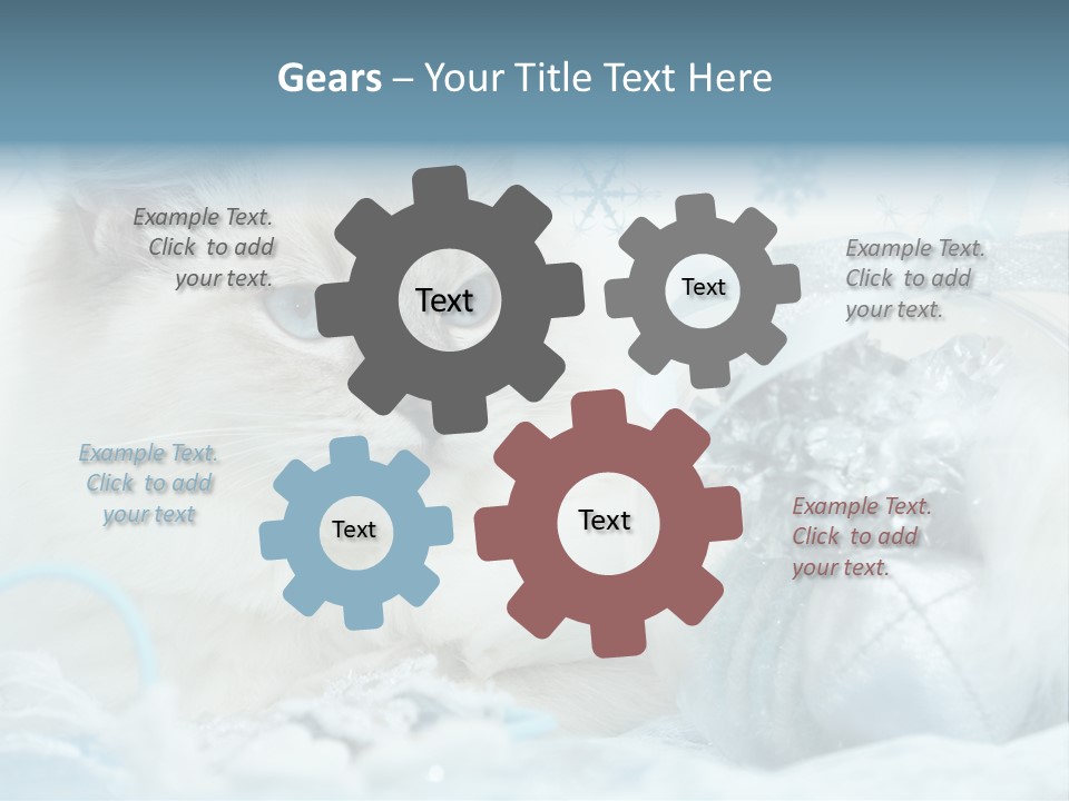 Winter Colour Presents PowerPoint Template