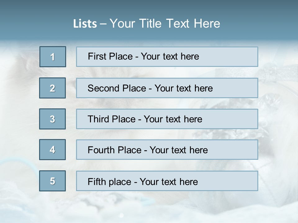 Winter Colour Presents PowerPoint Template