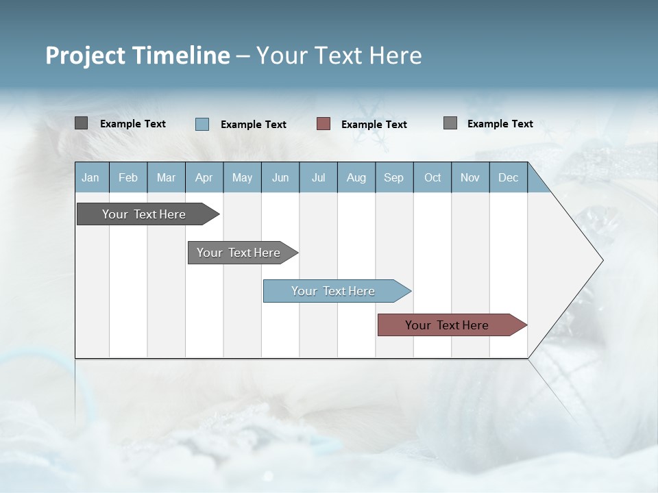 Winter Colour Presents PowerPoint Template
