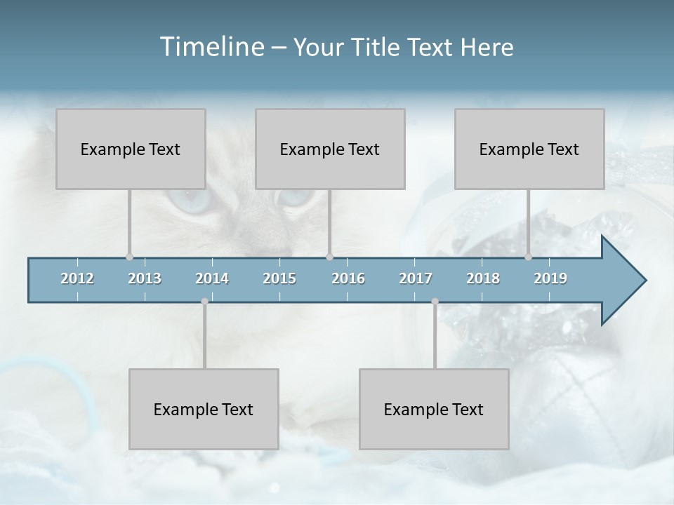 Winter Colour Presents PowerPoint Template