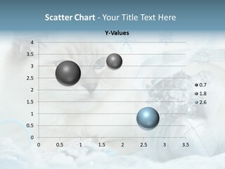 Winter Colour Presents PowerPoint Template