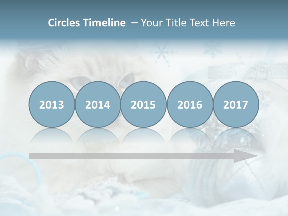Winter Colour Presents PowerPoint Template