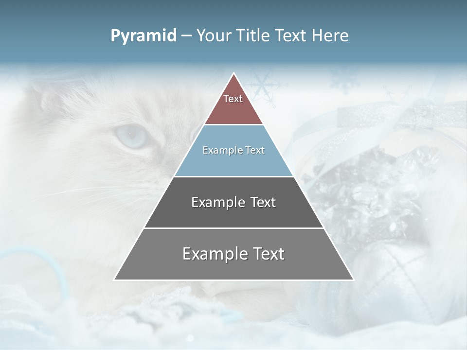 Winter Colour Presents PowerPoint Template