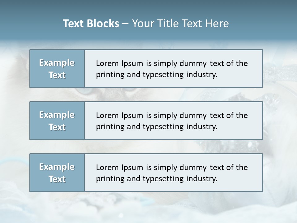 Winter Colour Presents PowerPoint Template