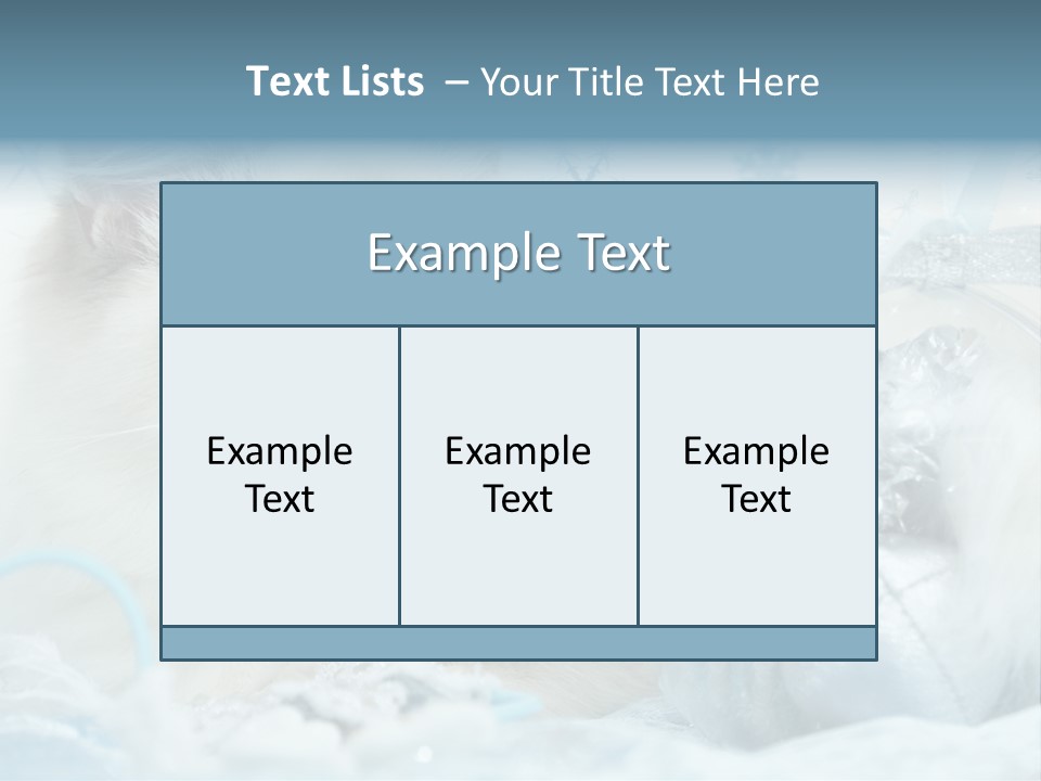 Winter Colour Presents PowerPoint Template