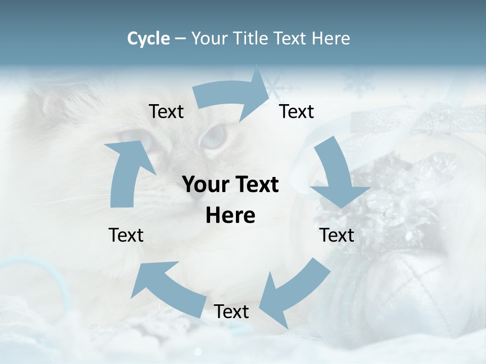 Winter Colour Presents PowerPoint Template