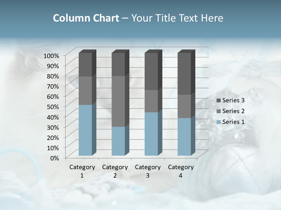 Winter Colour Presents PowerPoint Template