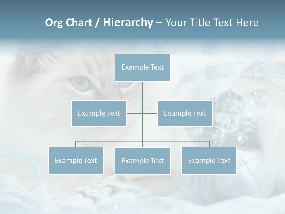 Winter Colour Presents PowerPoint Template