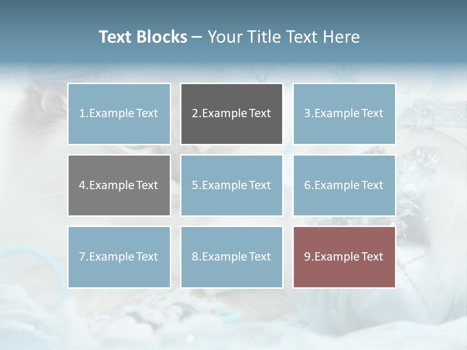 Winter Colour Presents PowerPoint Template