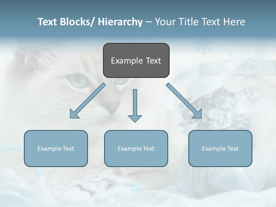 Winter Colour Presents PowerPoint Template