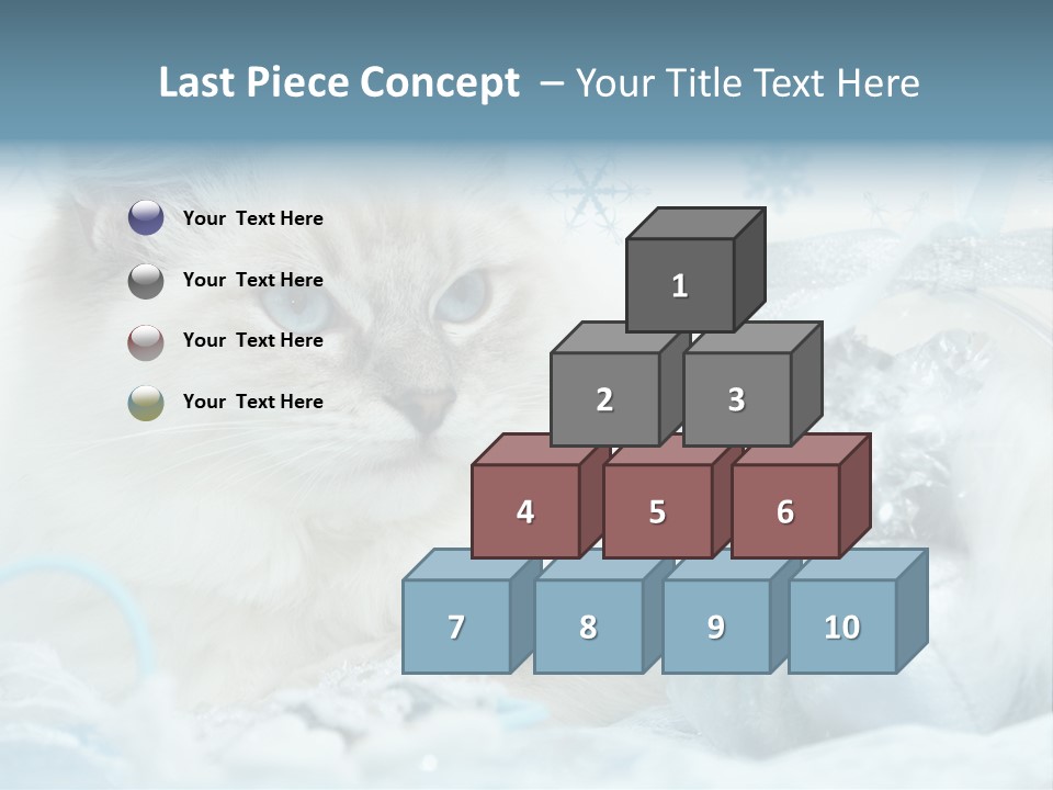 Winter Colour Presents PowerPoint Template