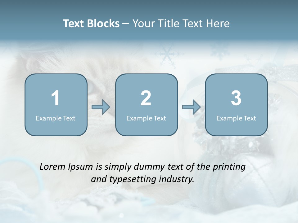 Winter Colour Presents PowerPoint Template
