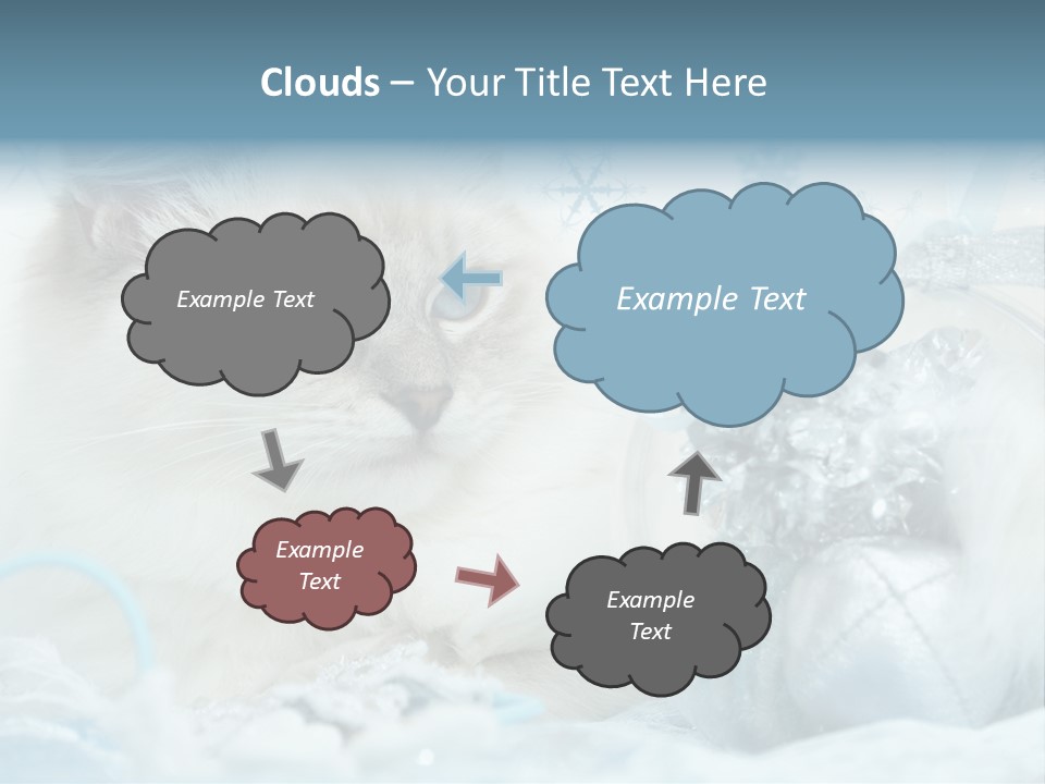 Winter Colour Presents PowerPoint Template