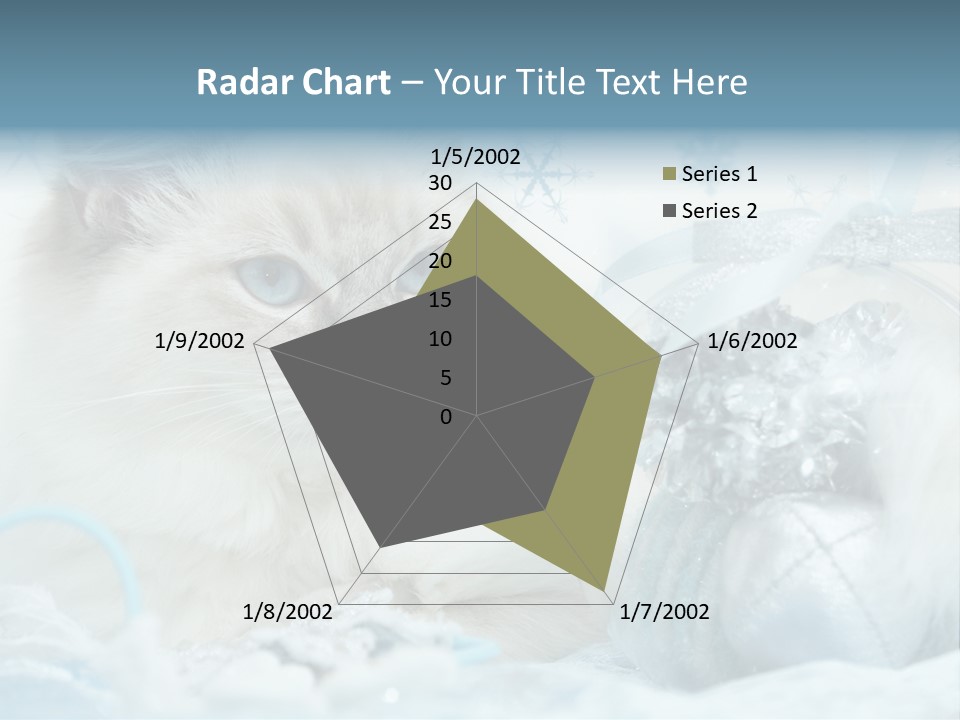 Winter Colour Presents PowerPoint Template