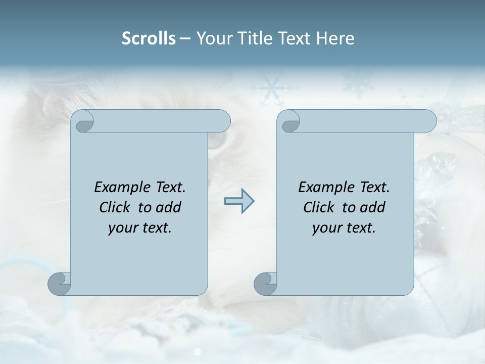 Winter Colour Presents PowerPoint Template