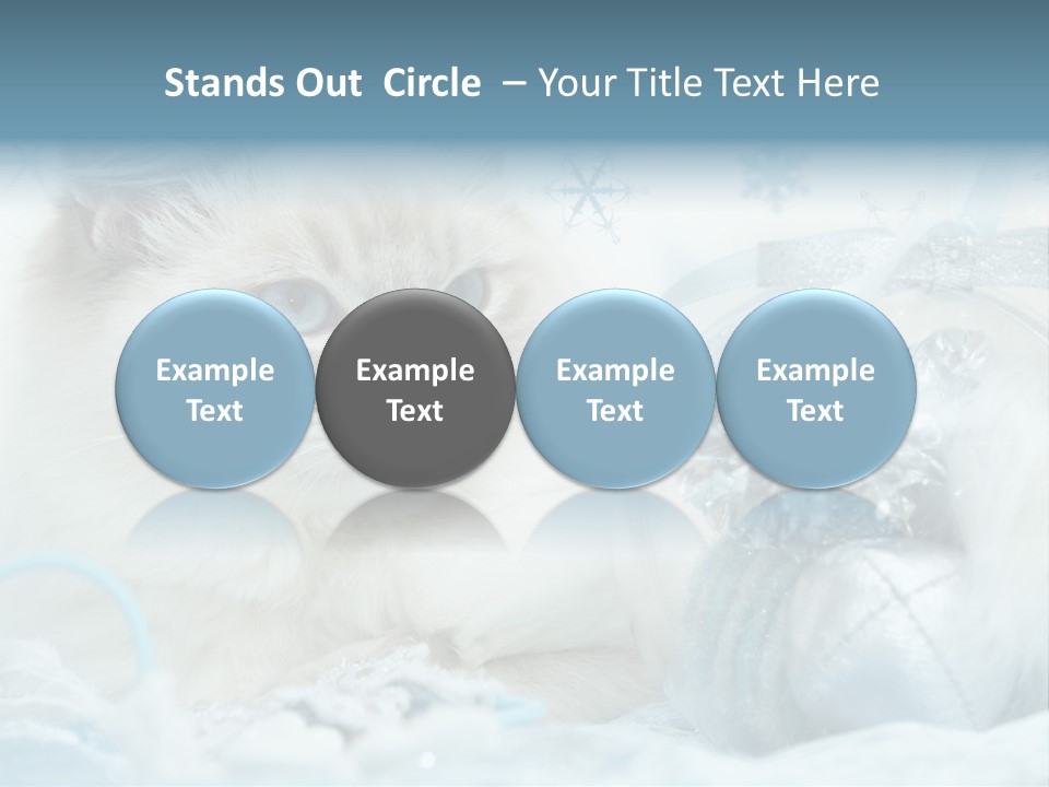 Winter Colour Presents PowerPoint Template