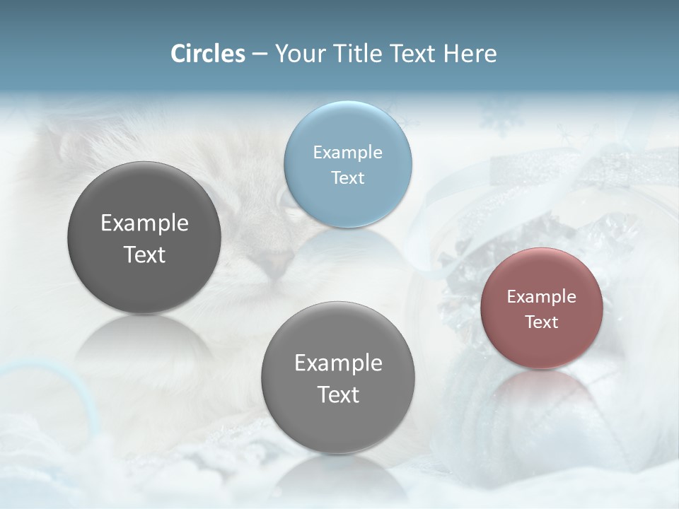 Winter Colour Presents PowerPoint Template