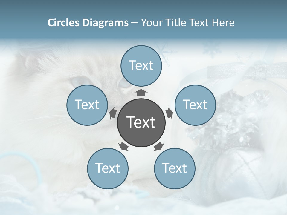 Winter Colour Presents PowerPoint Template