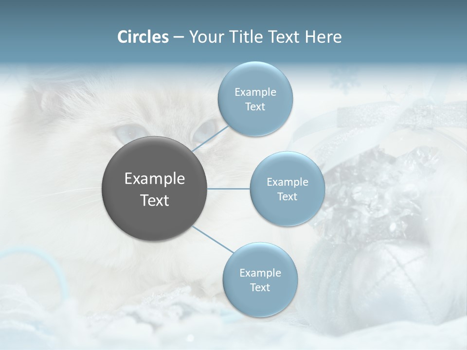 Winter Colour Presents PowerPoint Template