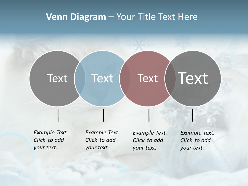Winter Colour Presents PowerPoint Template
