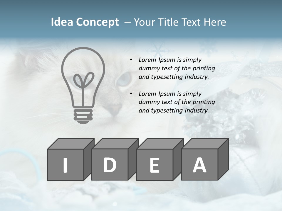 Winter Colour Presents PowerPoint Template