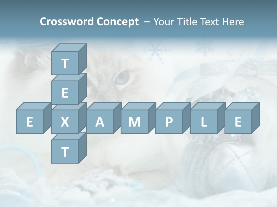 Winter Colour Presents PowerPoint Template