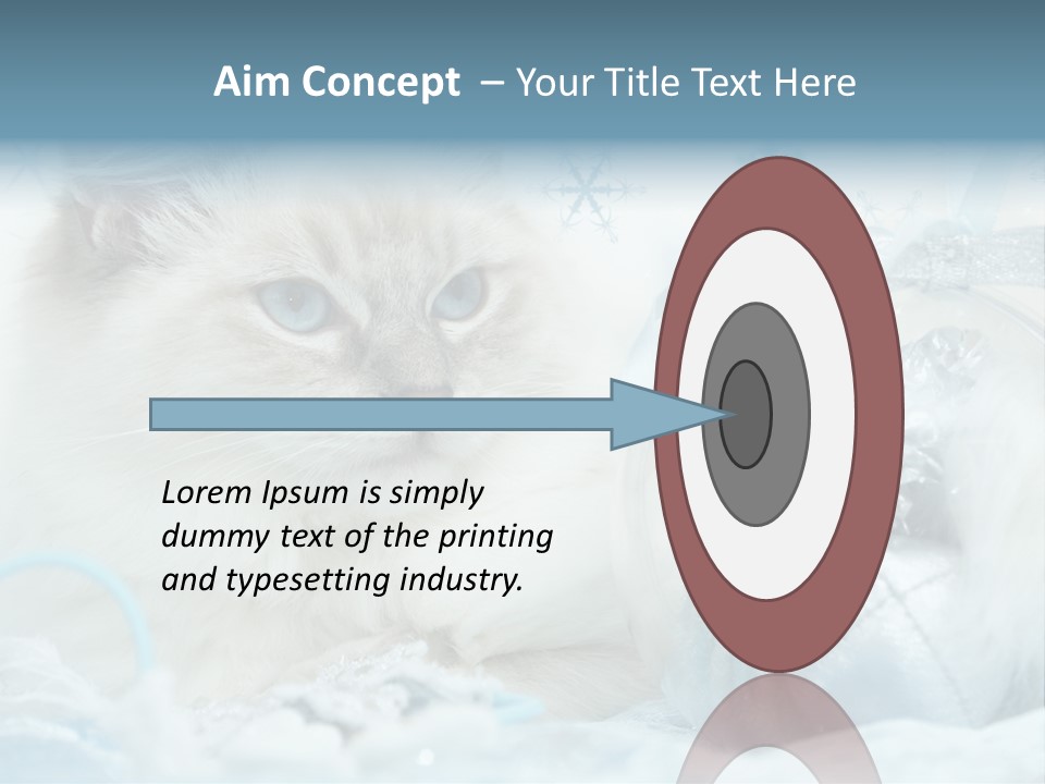 Winter Colour Presents PowerPoint Template