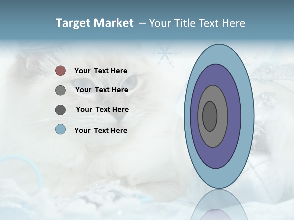 Winter Colour Presents PowerPoint Template