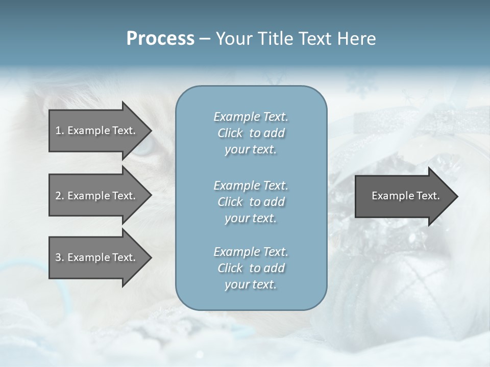 Winter Colour Presents PowerPoint Template
