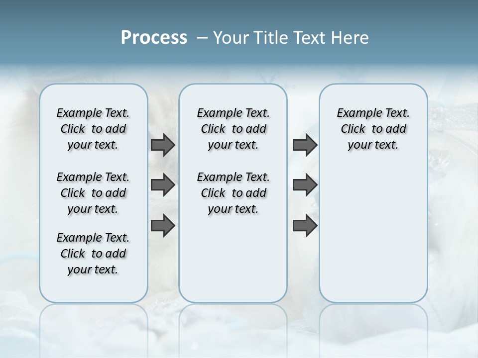 Winter Colour Presents PowerPoint Template