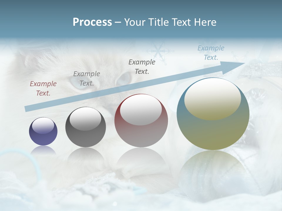 Winter Colour Presents PowerPoint Template