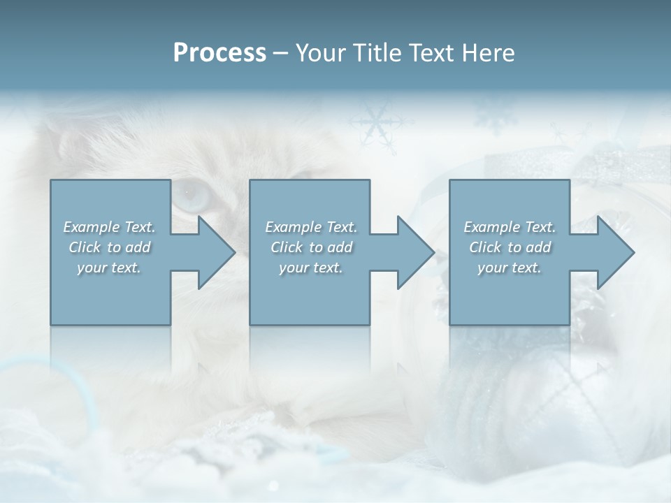Winter Colour Presents PowerPoint Template