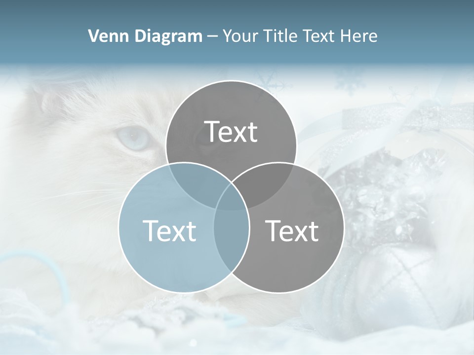 Winter Colour Presents PowerPoint Template