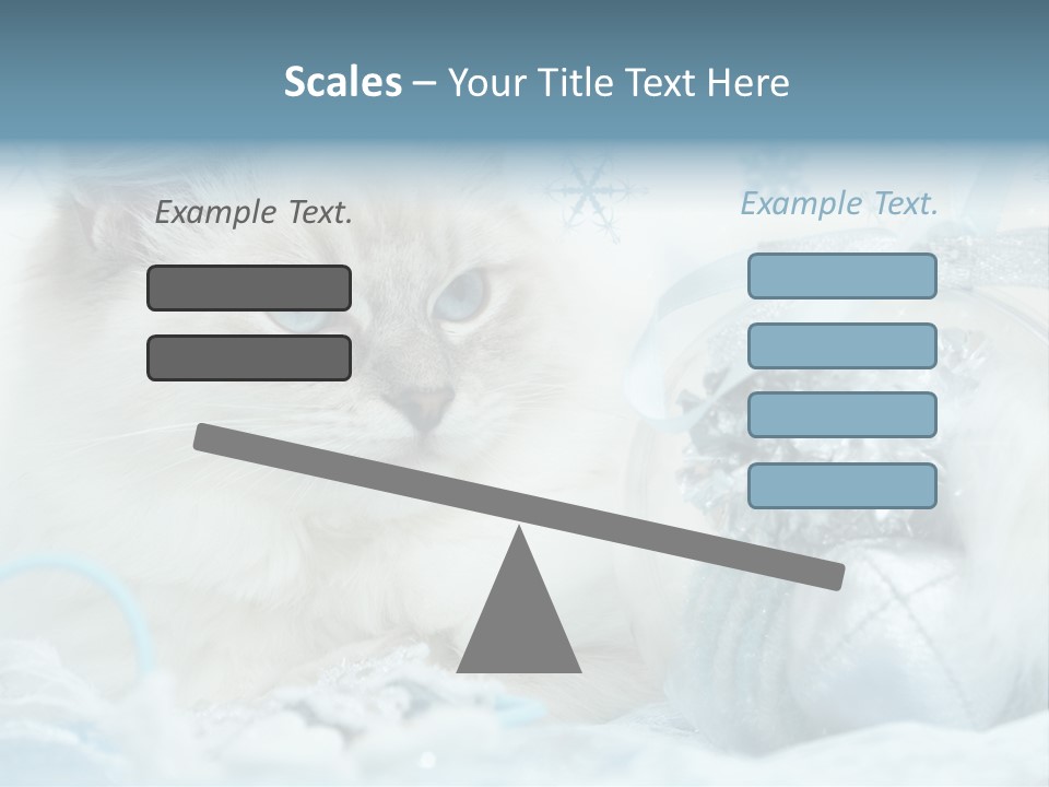 Winter Colour Presents PowerPoint Template